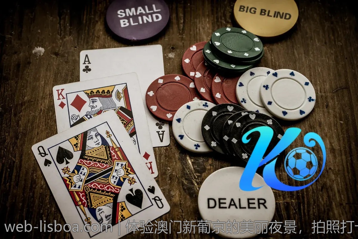 体验澳门新葡京的美丽夜景，拍照打卡地推荐