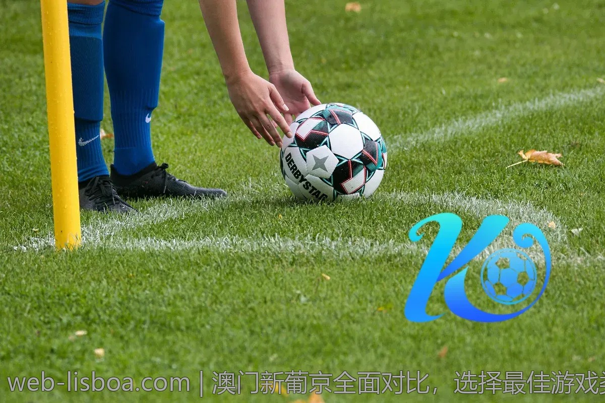 澳门新葡京全面对比，选择最佳游戏类型的方法